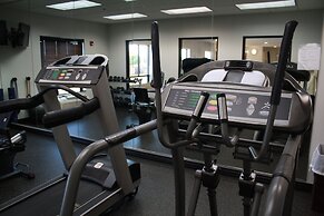 Holiday Inn Express & Suites Morton - Peoria Area by IHG
