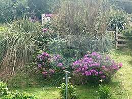 Buttermilk Lodge Guest Accommodation