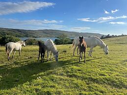 Buttermilk Lodge Guest Accommodation