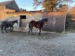Buttermilk Lodge Guest Accommodation