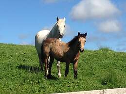 Buttermilk Lodge Guest Accommodation
