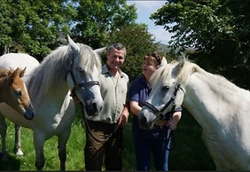 Buttermilk Lodge Guest Accommodation