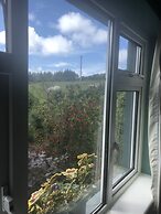 Buttermilk Lodge Guest Accommodation