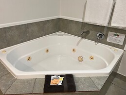 Kauri Park Motel
