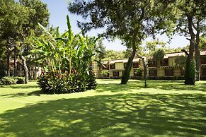 ROBINSON ÇAMYUVA Adults Only- All Inclusive