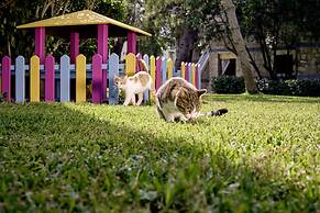 ROBINSON PAMFILYA - All Inclusive