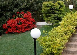 Hotel Coorg International