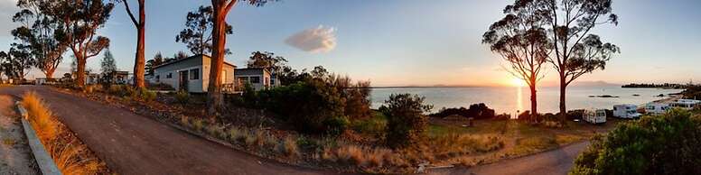 Swansea Beach Chalets