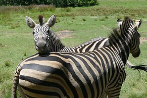 Rothman Manor Guest House