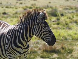 Rothman Manor Guest House