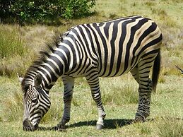 Rothman Manor Guest House