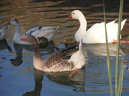 Oasis Country Park - Campground