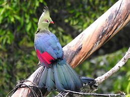 Burley House - Guest House