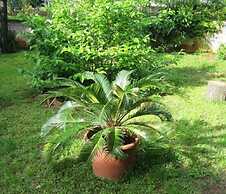 Villa Gorana- Apartments