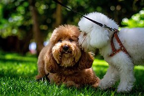 The Westin Porto de Galinhas, an All-Inclusive Resort