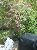 Niagara-on-the-Lake Furnished Rentals