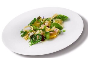 Hotel Regina Adelaide