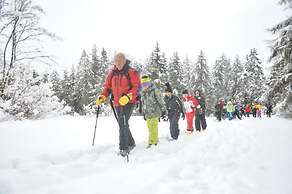 Hotel Rifugio Sores