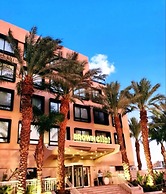 Brown Eilat