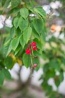 Lomani Island Resort - Adults Only