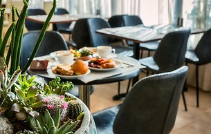 Brown Red Sea (Central Park)