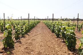 Tenuta Monacelli Lecce