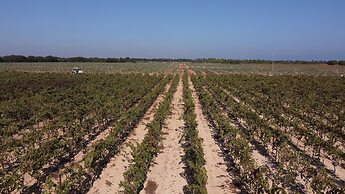 Tenuta Monacelli Lecce