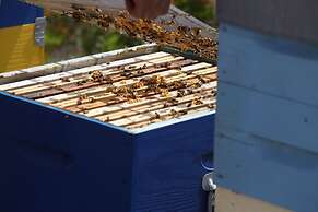 Tenuta Monacelli Lecce