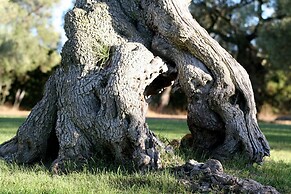 Tenuta Monacelli Lecce