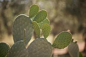 Tenuta Monacelli Lecce