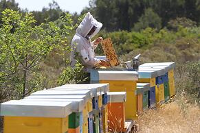 Tenuta Monacelli Lecce