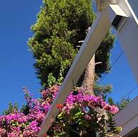 Ascot Hotel Buyukada