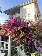 Ascot Hotel Buyukada