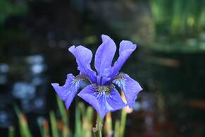 Pleasant Bay Village Resort