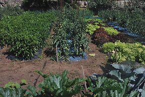 Hotel Spa Bosque Mar