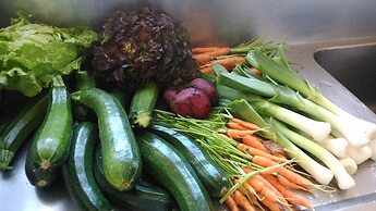 Hotel Spa Bosque Mar