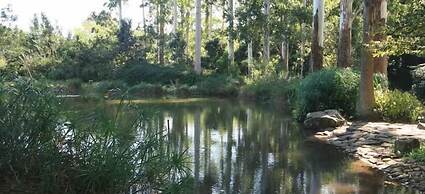 The Sleeping Bao B&B