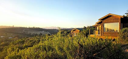 Elephant Hide of Knysna Guest Lodge