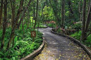 The St. Regis Bahia Beach Resort, Puerto Rico