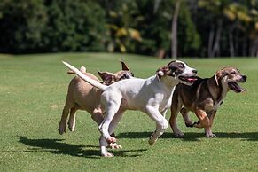 The St. Regis Bahia Beach Resort, Puerto Rico