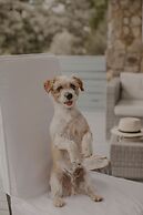 Qambathi Mountain Lodge