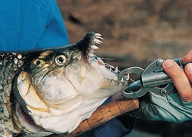 Jozini Tiger Lodge by Dream Resorts