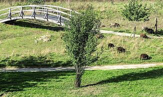 Le Green des Impressionnistes