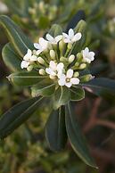 Anna Katerina Apartments