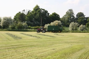 Manor Farm Bed & Breakfast