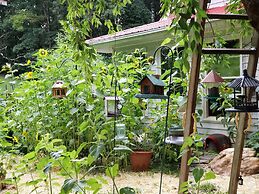 Blue Ridge Manor B&B