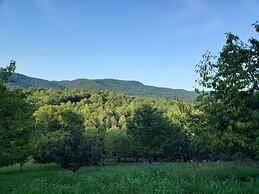 Blue Ridge Manor B&B