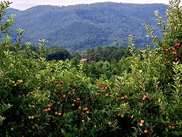 Blue Ridge Manor B&B