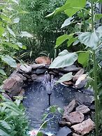 Blue Ridge Manor B&B