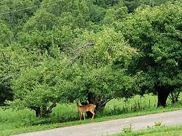 Blue Ridge Manor B&B